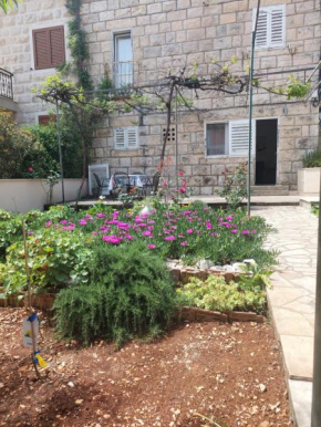 Fani Apartment